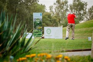 Wadi Qortuba Diamond Sponsor 10